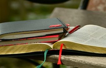 ENGLISH-THE EDUCATIONIST HUB