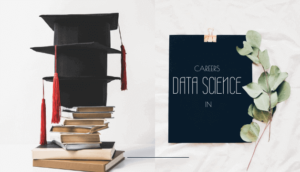 CAREERS IN DATA SCIENCE 2019