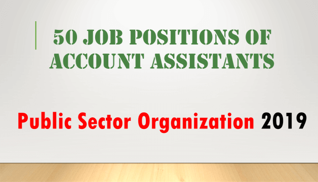 Positions of Account Assistants In Public Sector Organization