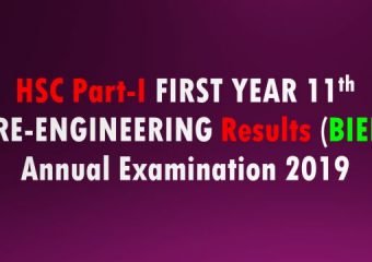 HSC Part 1 (First Year) Pre-Engineering Result 2019 Karachi Board (BIEK)