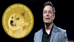 Dogecoin Price Falls After Elon Musk's SNL Appearance