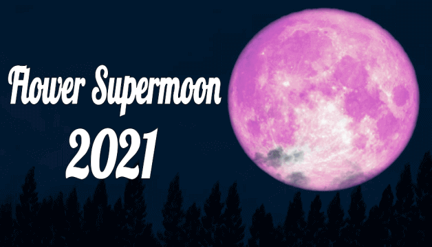 Full Chandra Grahan 2021 Today | Lunar Eclipse and Red Blood Supermoon will Be Lighting Up