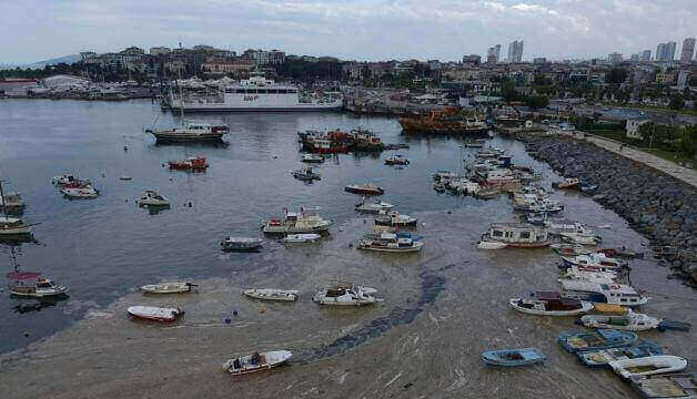 Turkey suffers the largest 'Sea Snot' outbreak in history when slime hit the coast of the Sea of Marmara