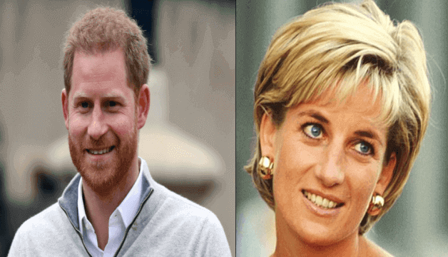 Prince Harry's insightful book "To find out who he blames for Diana's death"
