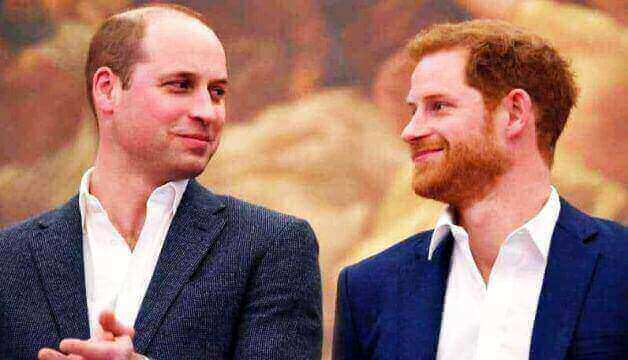 Royal expert says Princes Harry and William are unlikely to find a solution in the middle of split