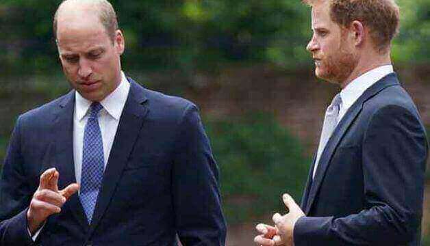 Prince William And Harry's Relationship "Cannot Be Based On The Climate Crisis Agenda"