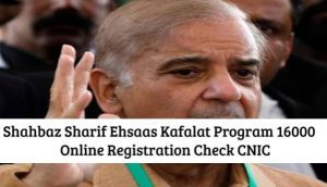 Shahbaz Sharif Ehsaas Kafalat Program 16000 Online Registration Check CNIC 2024 BISP Nadra gov pk 8171