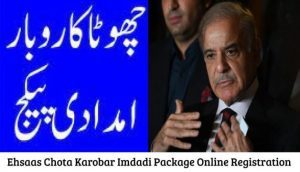 Ehsaas Chota Karobar Imdadi Package Online Registration