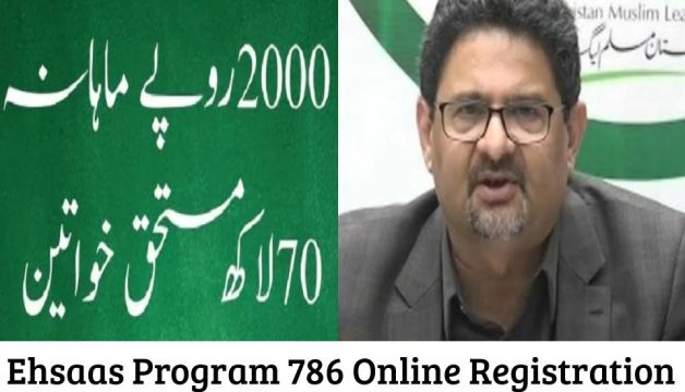 Ehsaas Program 786 Online Registration Check