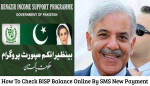 How To Check BISP Balance Online By SMS 2023 New Payment?