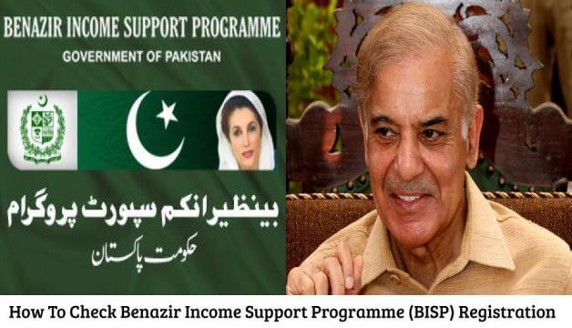 How To Check Benazir Income Support Programme BISP Registration By CNIC 2024?