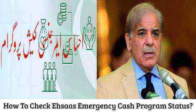 How To Check Ehsaas Emergency Cash Program Status With CNIC Using Online Web Portal 2023?