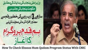 How To Check Ehsaas Hum Qadam Program Status With CNIC Using Online Web Portal 2024?