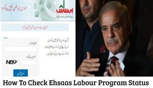 How To Check Ehsaas Labour Program Status 2022 Using Online Web Portal?