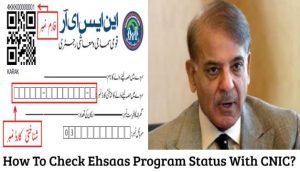 How To Check Ehsaas Program Status With CNIC Using Online Web Portal 2022?