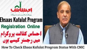 How To Check Ehsas Kafalat Program Status With CNIC Using Online Web Portal 2022?