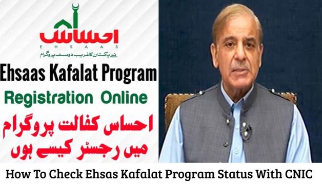 How To Check Ehsas Kafalat Program Status With CNIC Using Online Web Portal 2023?
