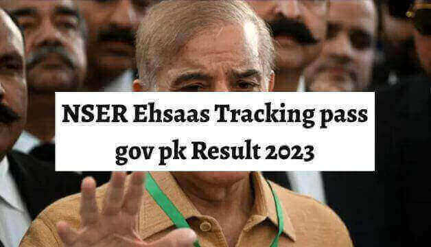 NSER Ehsaas Tracking pass gov pk Result 2024