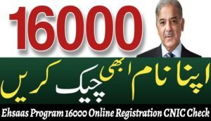 Ehsaas Program 16000 Online Registration CNIC Check