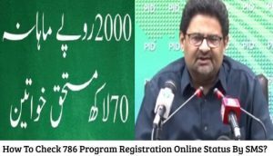 How To Check 786 Program Registration 2023 Online Status By SMS?