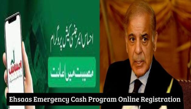 Ehsaas Emergency Cash Program Online Registration Check 8171 NADRA