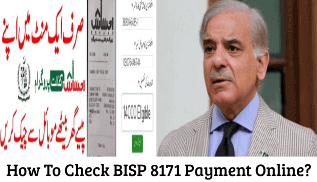 How To Check BISP 8171 Payment Online?