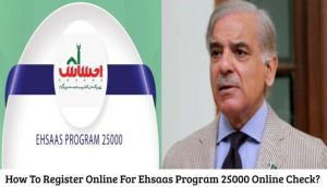 How To Register Online For Ehsaas Program 25000 Online Check 2024?