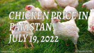 Latest Chicken Price in Pakistan Today 19th July 2022 Per Kg