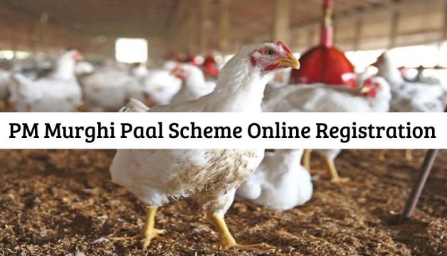 PM Murghi Paal Scheme Online Registration And Last Date