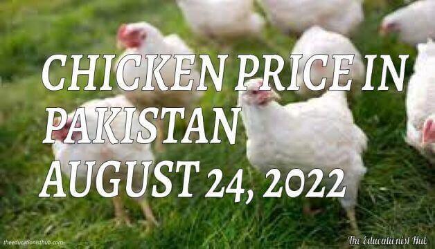 Chicken Price in Pakistan Today 24th August 2022 Per Kg