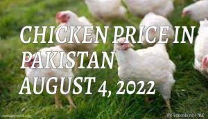 Chicken Price in Pakistan Today 4th August 2022 Per Kg