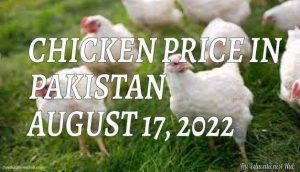 Latest Chicken Price in Pakistan Today 17th August 2022 Per Kg
