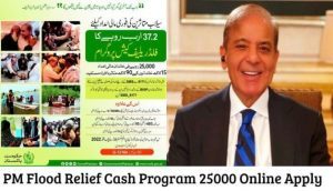 PM Flood Relief Cash Program 25000 Online Apply