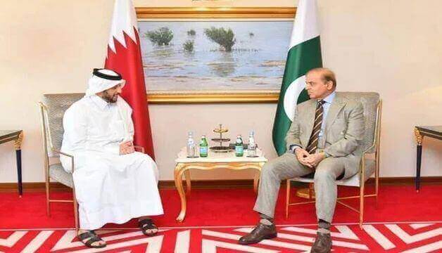 Pakistan And Qatar Promote Cooperation in The Energy Sector