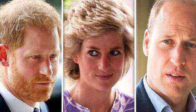 Prince Harry is Returning As The 'Operating Prince of The Kingdom', Says Diana's Bodyguard
