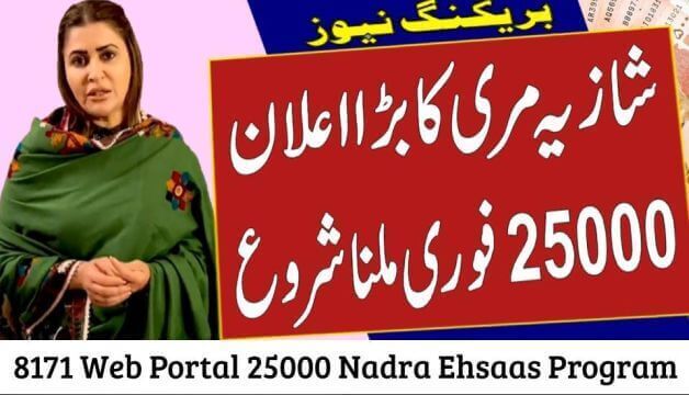 8171 Web Portal 25000 Nadra Shahbaz Sharif Ehsaas Program 2024