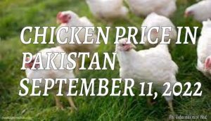 Chicken Price in Pakistan Today 11th September 2022 Per Kg