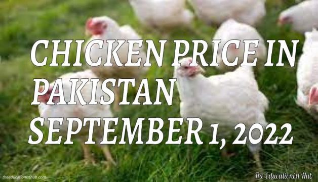 Chicken Price in Pakistan Today 1st September 2022 Per Kg