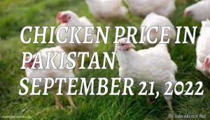 Chicken Price in Pakistan Today 21st September 2022 Per Kg