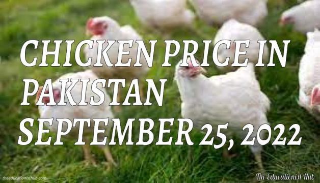 Chicken Price in Pakistan Today 25th September 2022 Per Kg