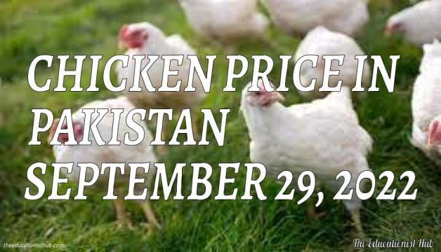 Chicken Price in Pakistan Today 29th September 2022 Per Kg