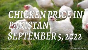 Chicken Price in Pakistan Today 5th September 2022 Per Kg