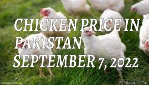 Chicken Price in Pakistan Today 7th September 2022 Per Kg