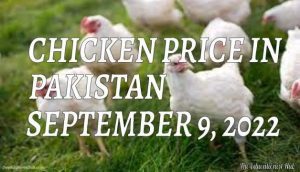 Chicken Price in Pakistan Today 9th September 2022 Per Kg