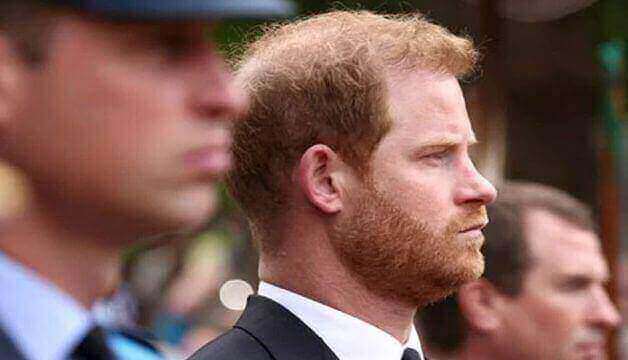 Did Prince Harry Warn Me To 'Remove' Memories After Queen's Death?