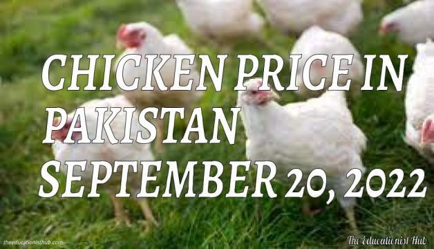 Latest Chicken Price in Pakistan Today 20th September 2022 Per Kg