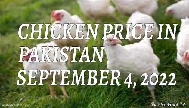 Latest Chicken Price in Pakistan Today 4th September 2022 Per Kg