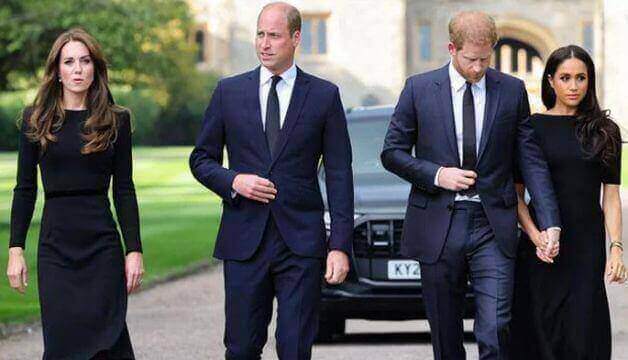 Prince William Gives Instructions To Kate, Harry, And Meghan While Greeting Mourners