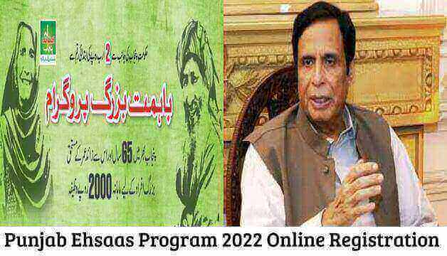 Punjab Ehsaas Program 2024 Online Registration