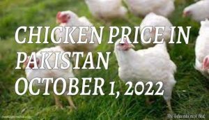 Chicken Price in Pakistan Today 1st October 2022 Per Kg